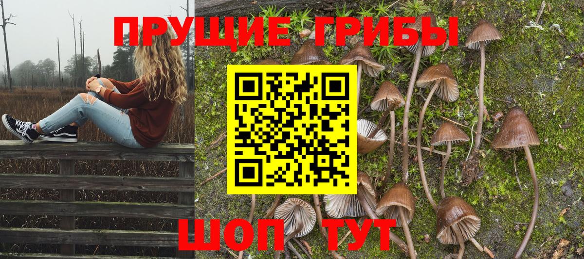 Галлюциногенные грибы MAGIC MUSHROOMS  Псилоцибиновые грибы GOLDEN TEACHER  Вход с VPN  Трёхгорный 